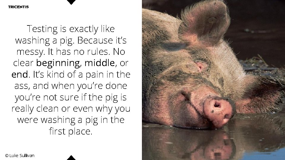 Testing is exactly like washing a pig. Because it’s messy. It has no rules.