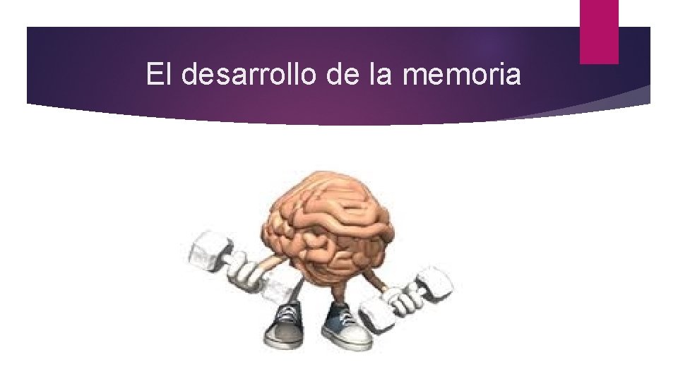  El desarrollo de la memoria 