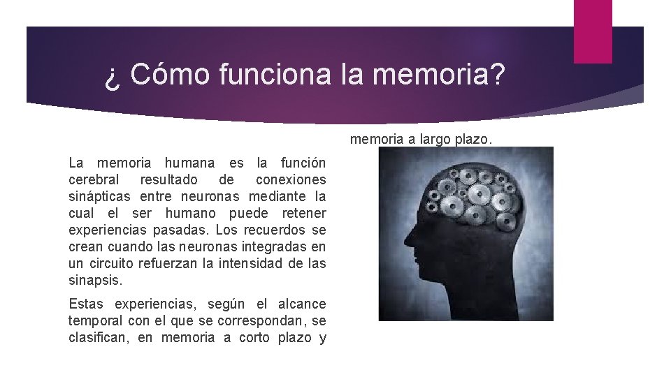 ¿ Cómo funciona la memoria? memoria a largo plazo. La memoria humana es la