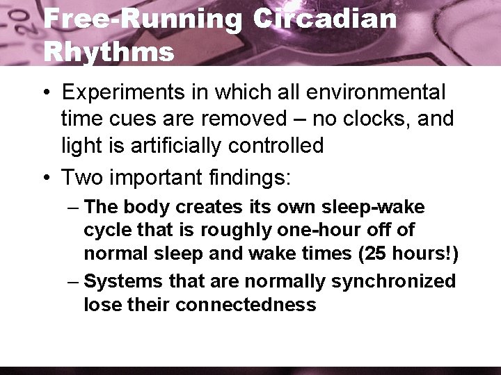 Free-Running Circadian Rhythms • Experiments in which all environmental time cues are removed –