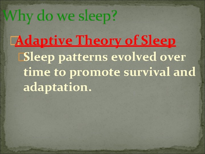 Why do we sleep? �Adaptive Theory of Sleep �Sleep patterns evolved over time to