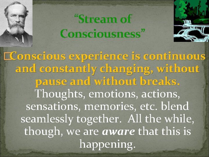“Stream of Consciousness” �Conscious experience is continuous and constantly changing, without pause and without