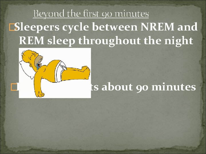 Beyond the first 90 minutes �Sleepers cycle between NREM and REM sleep throughout the