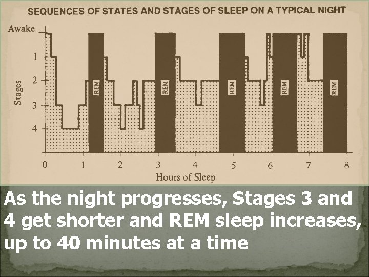 As the night progresses, Stages 3 and 4 get shorter and REM sleep increases,