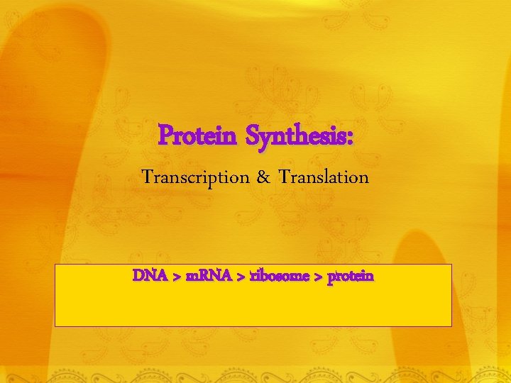 Protein Synthesis: Transcription & Translation DNA > m. RNA > ribosome > protein 