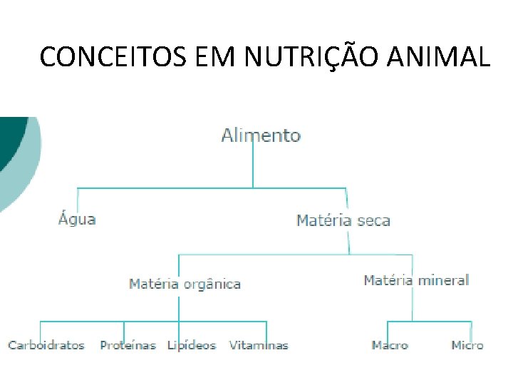 CONCEITOS EM NUTRIÇÃO ANIMAL 