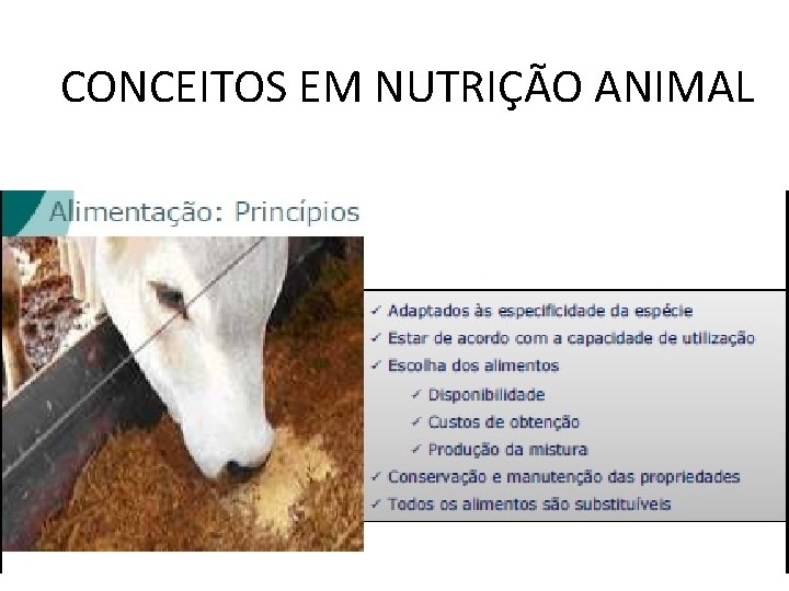 CONCEITOS EM NUTRIÇÃO ANIMAL 