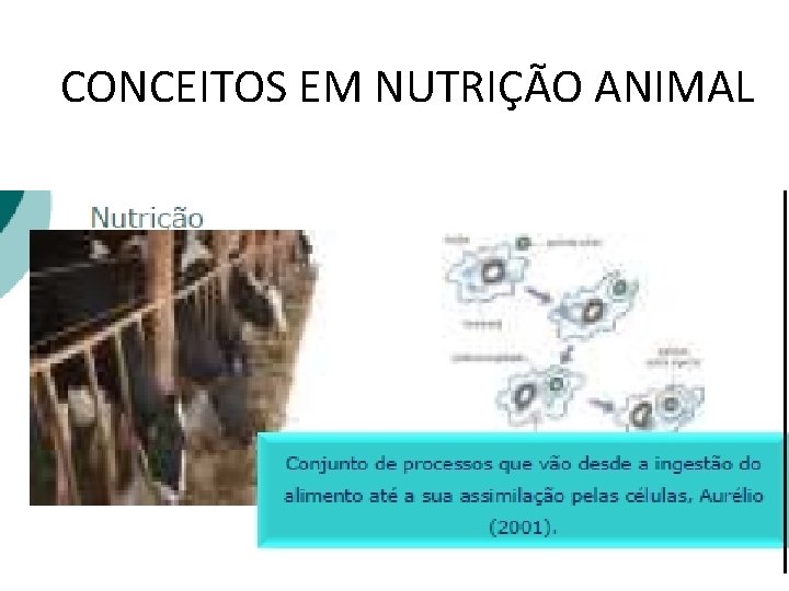 CONCEITOS EM NUTRIÇÃO ANIMAL 