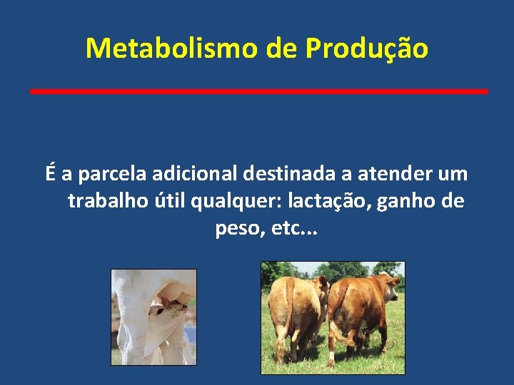 Metabolismo de Produção É a parcela adicional destinada a atender um trabalho útil qualquer: