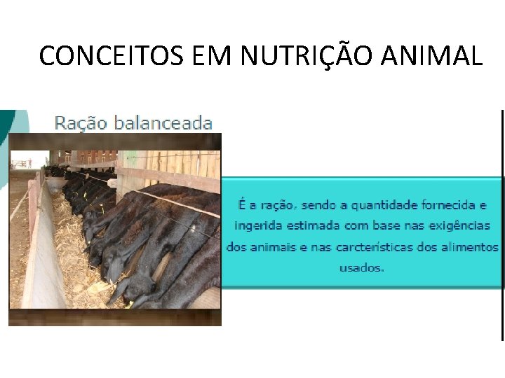 CONCEITOS EM NUTRIÇÃO ANIMAL 