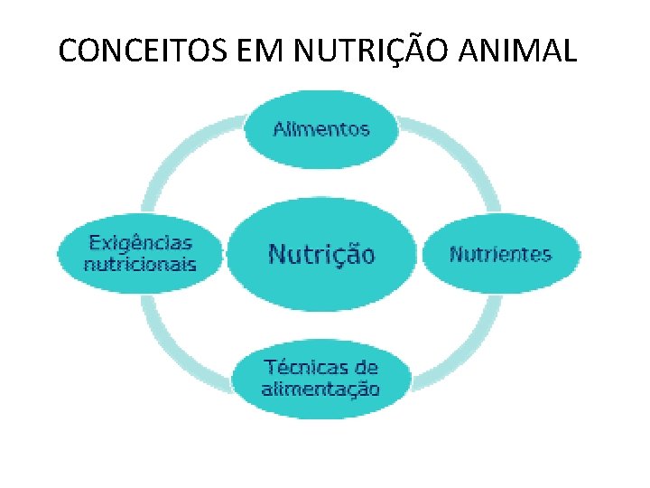 CONCEITOS EM NUTRIÇÃO ANIMAL 