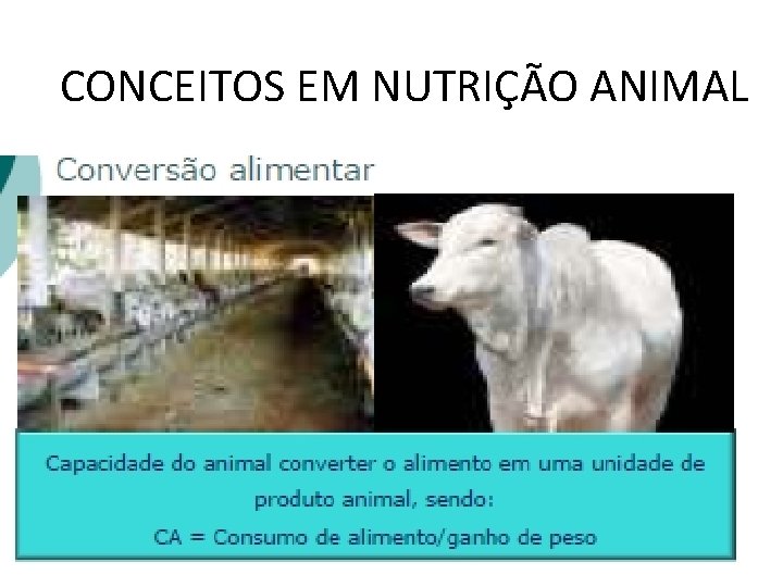 CONCEITOS EM NUTRIÇÃO ANIMAL 