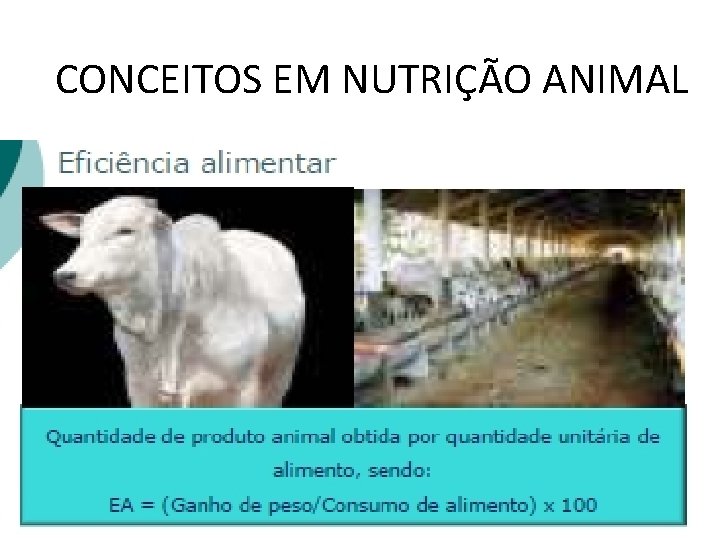 CONCEITOS EM NUTRIÇÃO ANIMAL 