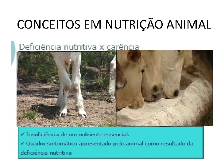 CONCEITOS EM NUTRIÇÃO ANIMAL 