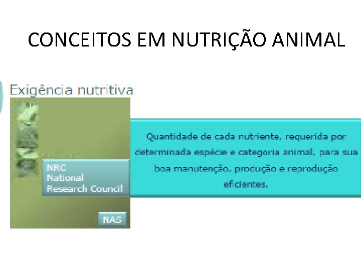 CONCEITOS EM NUTRIÇÃO ANIMAL 