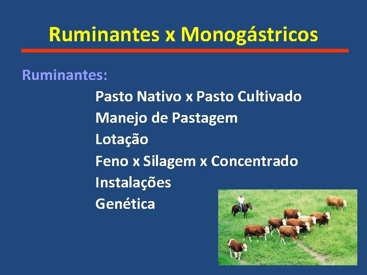 Ruminantes x Monogástricos Ruminantes: Pasto Nativo x Pasto Cultivado Manejo de Pastagem Lotação Feno