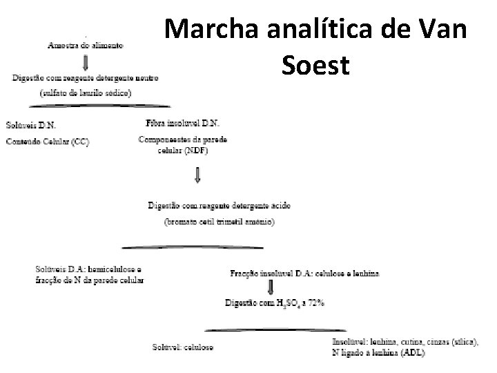 Marcha analítica de Van Soest 