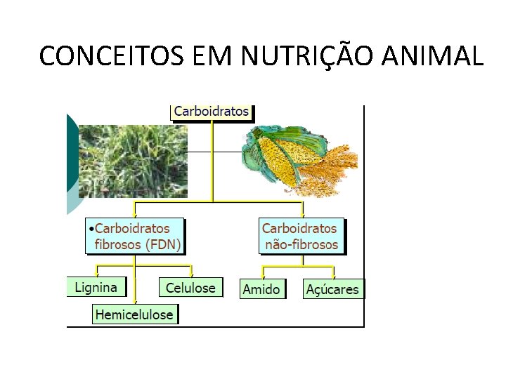 CONCEITOS EM NUTRIÇÃO ANIMAL 