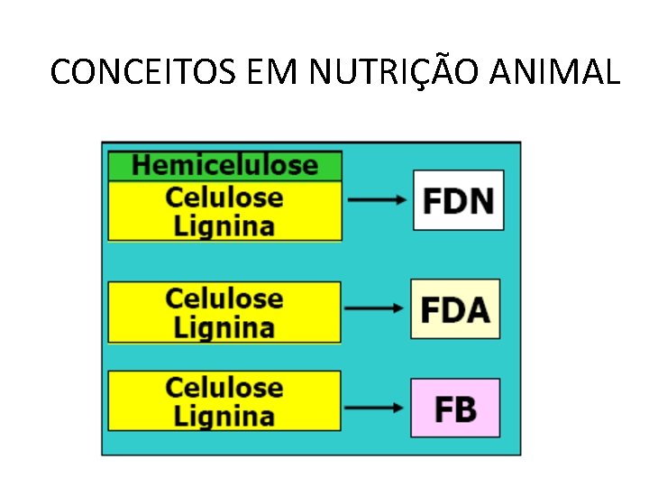 CONCEITOS EM NUTRIÇÃO ANIMAL 