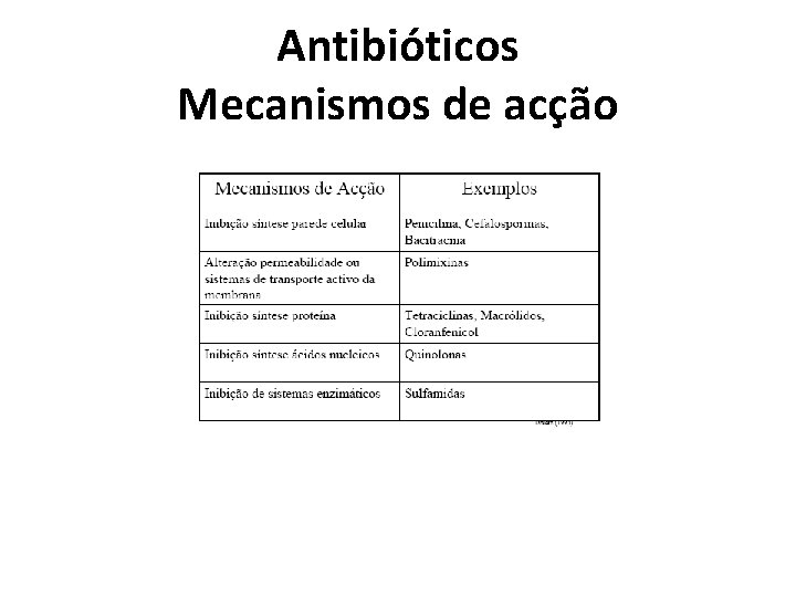 Antibióticos Mecanismos de acção 