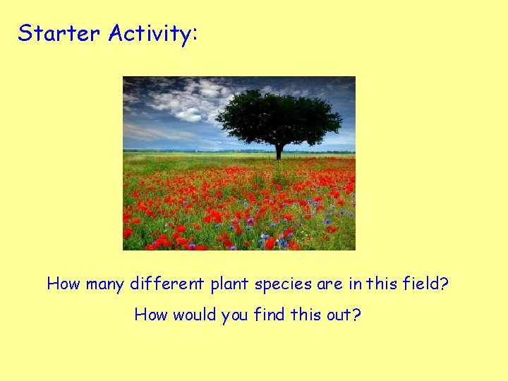 Starter Activity: How many different plant species are in this field? How would you