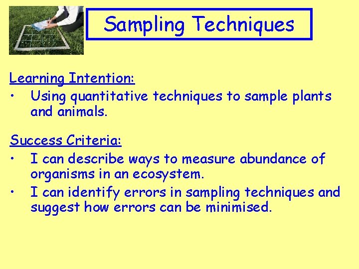 Appropriate Clip art to topic Sampling Techniques Learning Intention: • Using quantitative techniques to