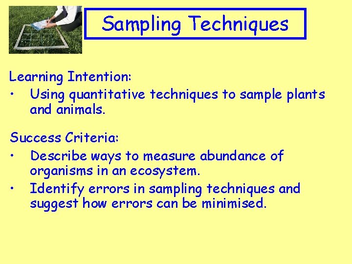 Appropriate Clip art to topic Sampling Techniques Learning Intention: • Using quantitative techniques to