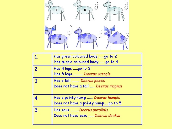 1. Has green coloured body. . . go to 2 Has purple coloured body.