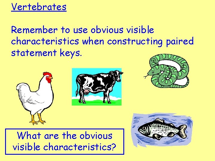 Vertebrates Remember to use obvious visible characteristics when constructing paired statement keys. What are