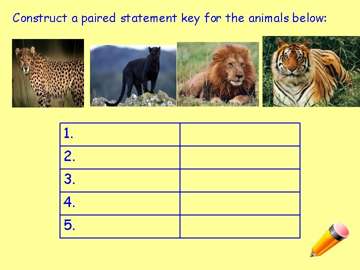 Construct a paired statement key for the animals below: 1. 2. 3. 4. 5.