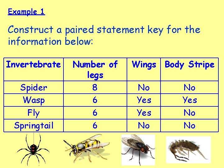 Example 1 Construct a paired statement key for the information below: Invertebrate Spider Wasp