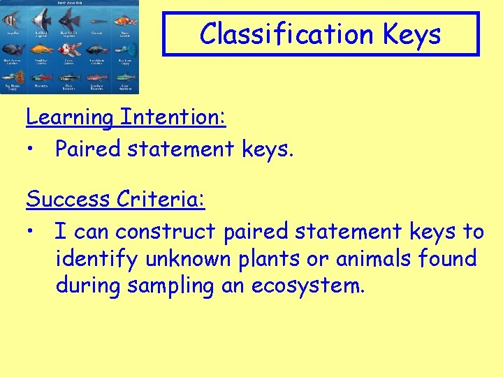 Appropriate Clip art to topic Classification Keys Learning Intention: • Paired statement keys. Success