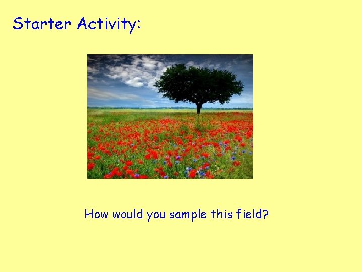 Starter Activity: How would you sample this field? 