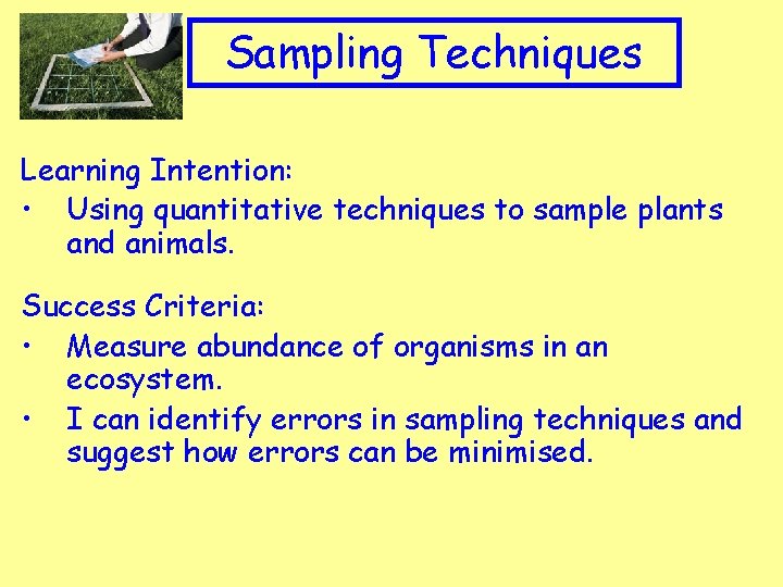 Appropriate Clip art to topic Sampling Techniques Learning Intention: • Using quantitative techniques to