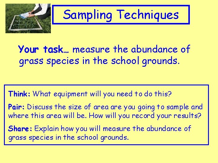 Appropriate Clip art to topic Sampling Techniques Your task… measure the abundance of grass