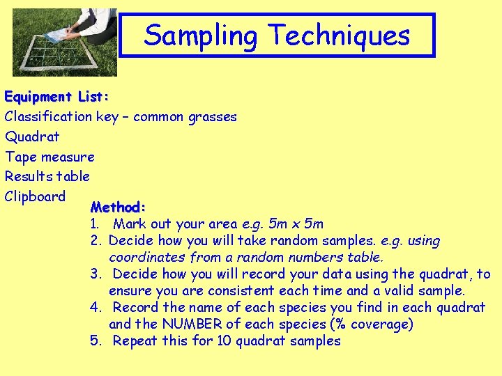 Appropriate Clip art to topic Sampling Techniques Equipment List: Classification key – common grasses