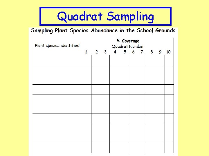 Quadrat Sampling 