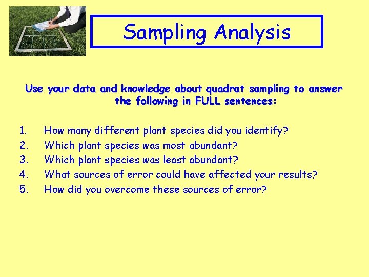 Appropriate Clip art to topic Sampling Analysis Use your data and knowledge about quadrat