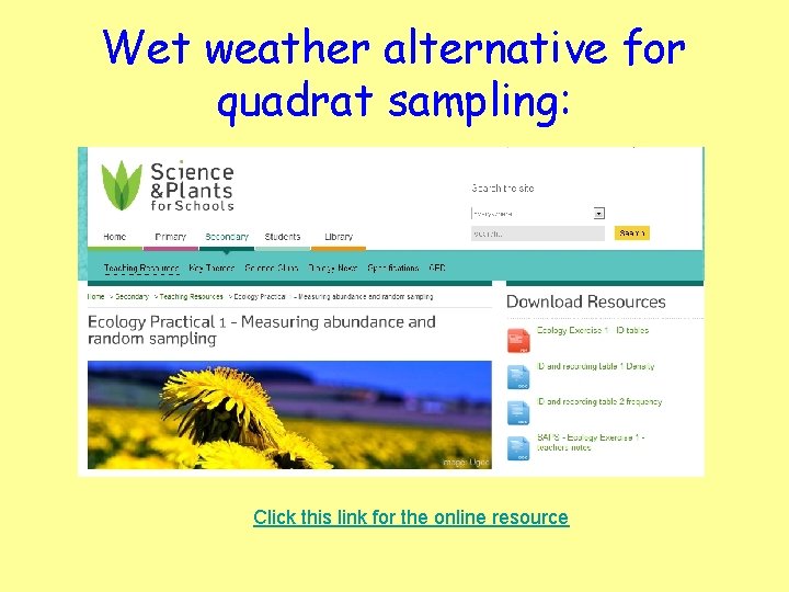 Wet weather alternative for quadrat sampling: Click this link for the online resource 