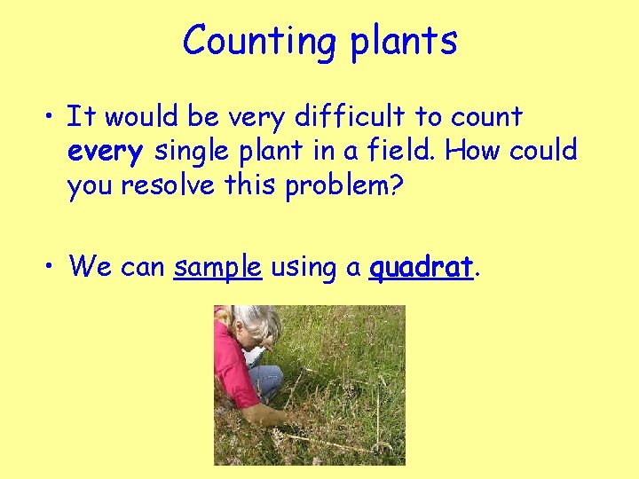 Counting plants • It would be very difficult to count every single plant in