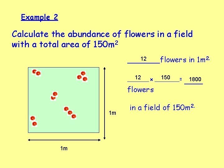 Example 2 Calculate the abundance of flowers in a field with a total area