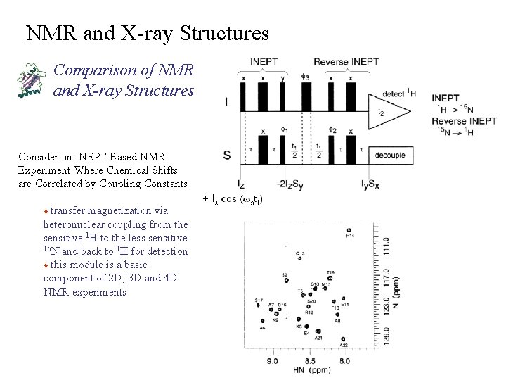 NMR and X-ray Structures Comparison of NMR and X-ray Structures Consider an INEPT Based