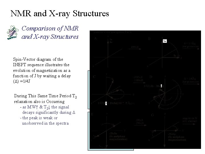 NMR and X-ray Structures Comparison of NMR and X-ray Structures Spin-Vector diagram of the