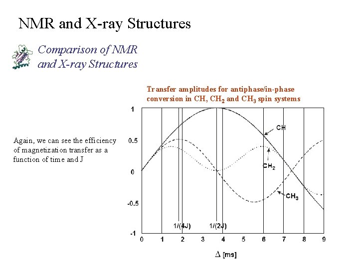 NMR and X-ray Structures Comparison of NMR and X-ray Structures Transfer amplitudes for antiphase/in-phase