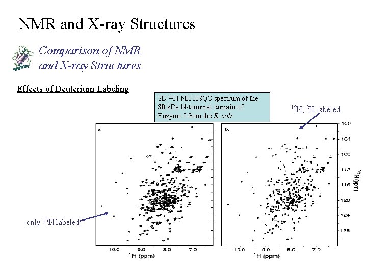 NMR and X-ray Structures Comparison of NMR and X-ray Structures Effects of Deuterium Labeling