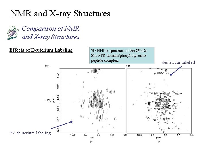 NMR and X-ray Structures Comparison of NMR and X-ray Structures Effects of Deuterium Labeling