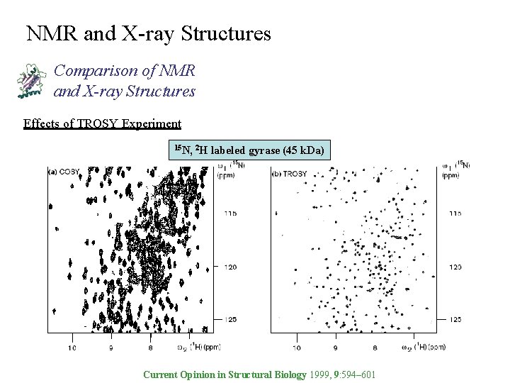 NMR and X-ray Structures Comparison of NMR and X-ray Structures Effects of TROSY Experiment