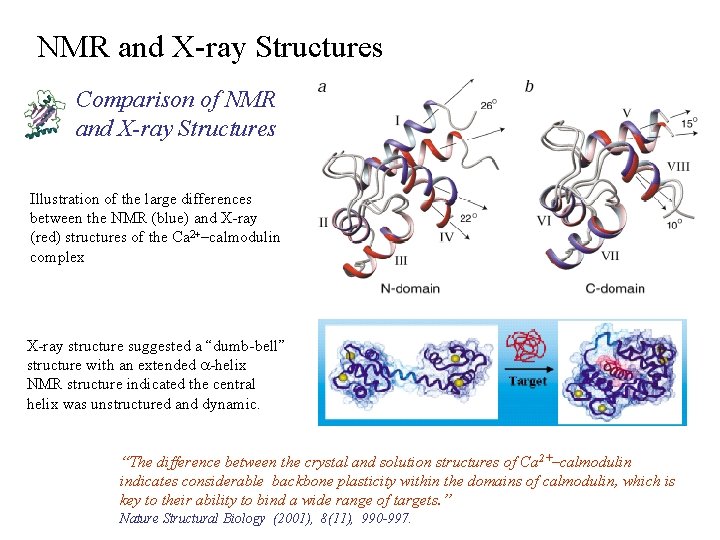 NMR and X-ray Structures Comparison of NMR and X-ray Structures Illustration of the large