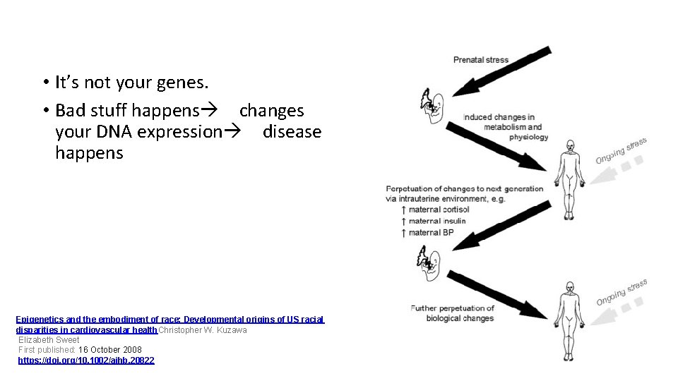  • It’s not your genes. • Bad stuff happens changes your DNA expression