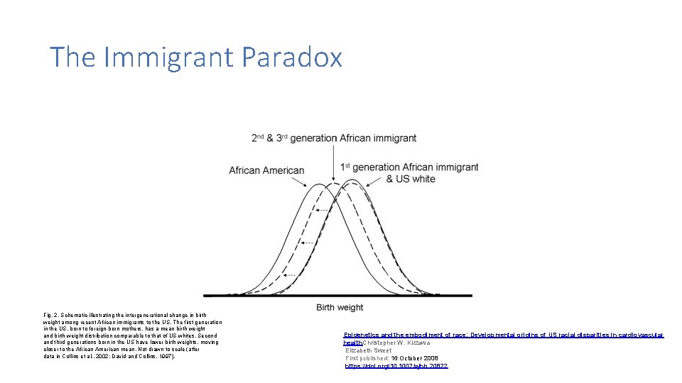 The Immigrant Paradox Fig. 2. Schematic illustrating the intergenerational change in birth weight among